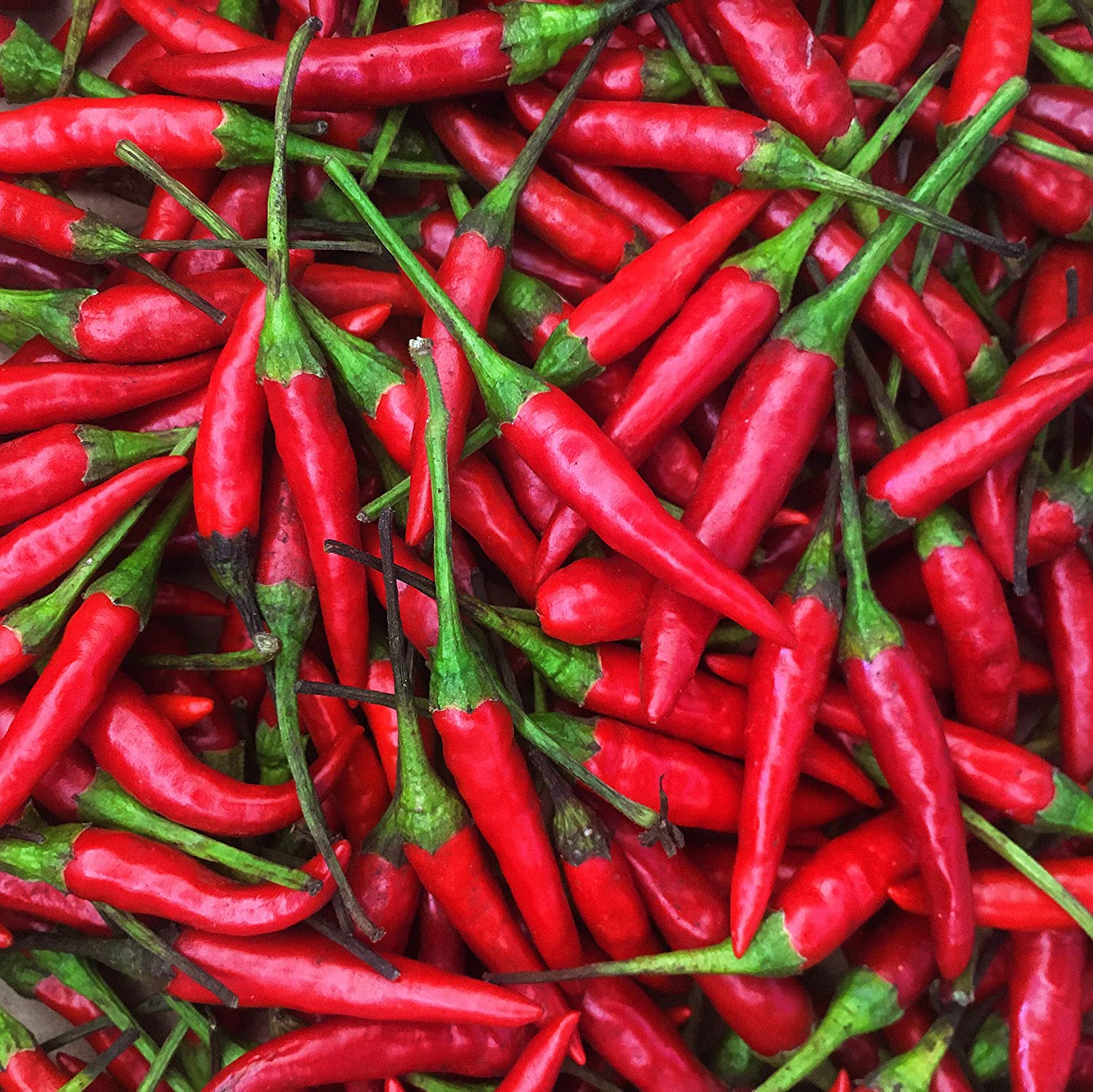 Folkspice - Bird Eye Chilli